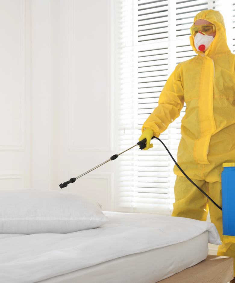 Professional Pest Control Team in Aldinga